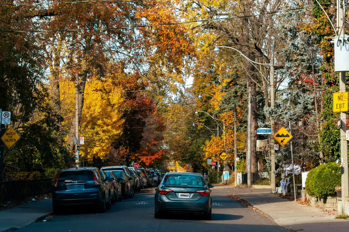 A tree-lined residential street in autumn, gold and orange leaves over parked cars