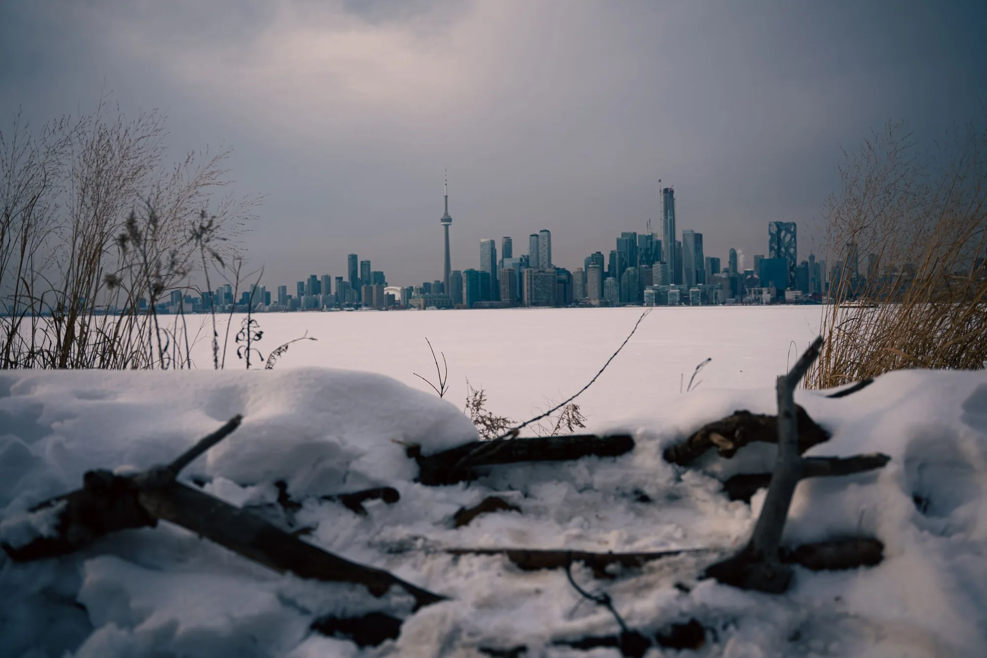 The distant skyline across a frozen lake, driftwood and snow in the foreground