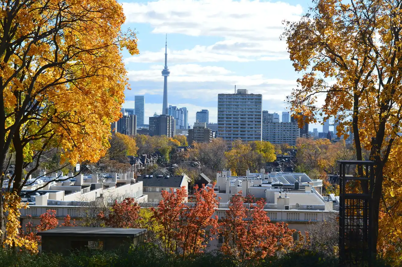 The CN Tower and towers beyond rooftops, framed by golden autumn trees