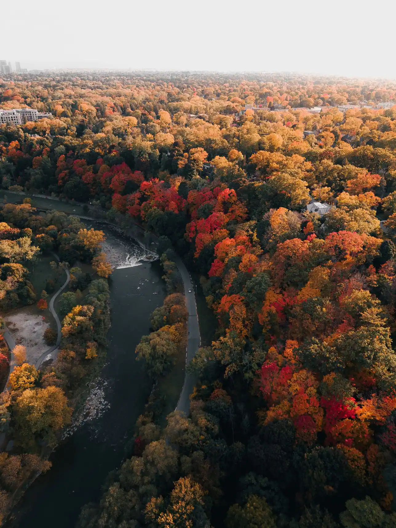 Aerial view of a river winding through a ravine of red, orange and gold autumn trees