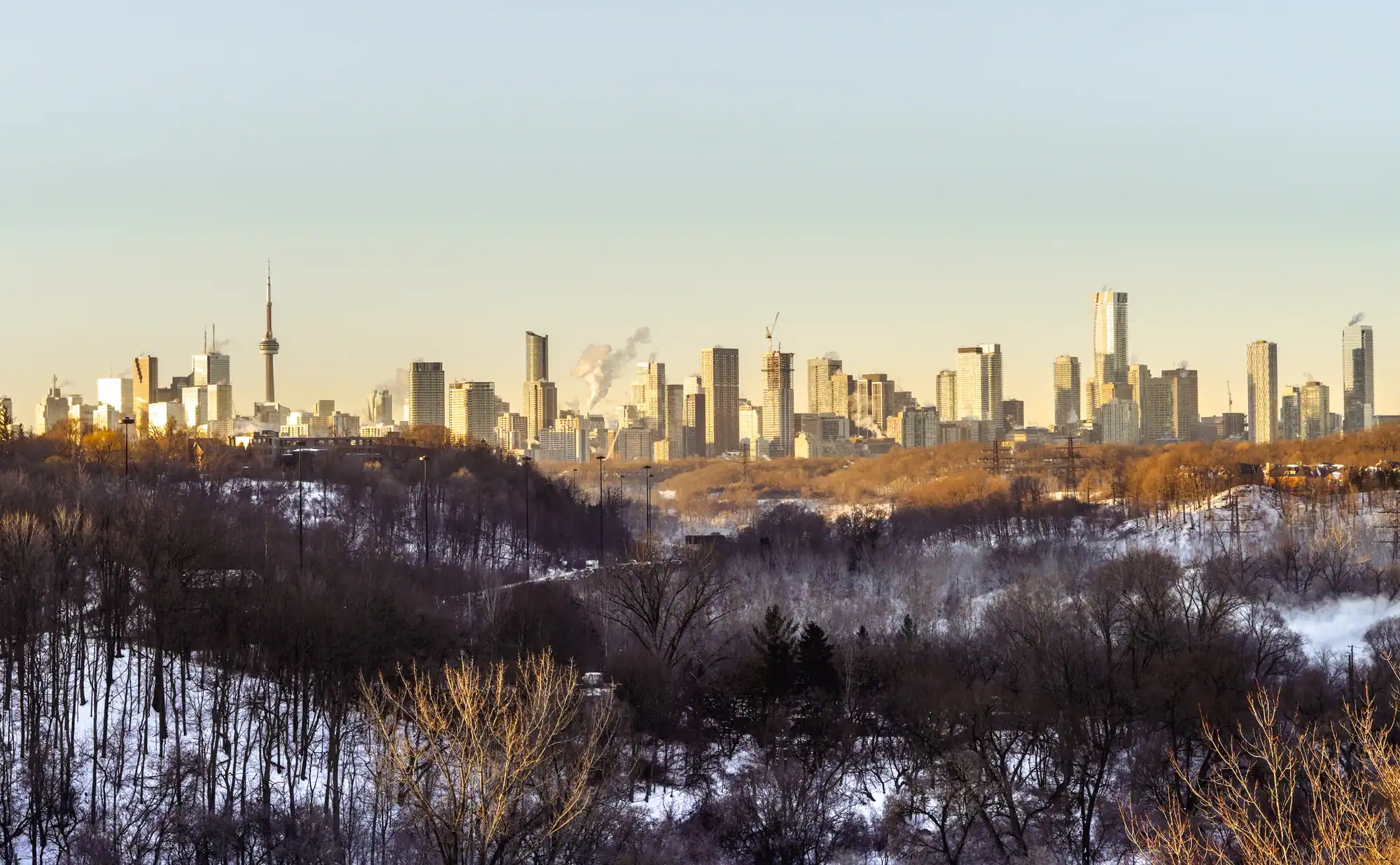 The Toronto skyline in pale winter light beyond snow-dusted ravine trees