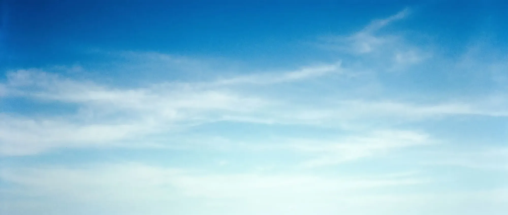 Photograph used on the ZOME (website) page (2400x1018 original).